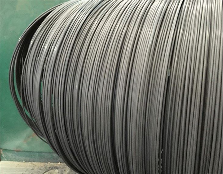 C1022 SCREW STEEL WIRE